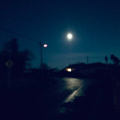 mw9891's profile picture. 