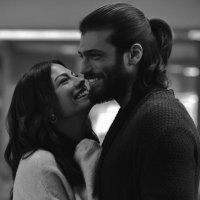 canem gifs (@canemposts) 's Twitter Profile