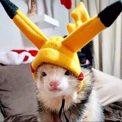 ZenHiroFerret Profile Picture