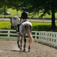 Brighid Fitzpatrick (@beezie94) 's Twitter Profile
