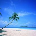 Kim Thames Rowe - @MrsKimRowe - Twitter