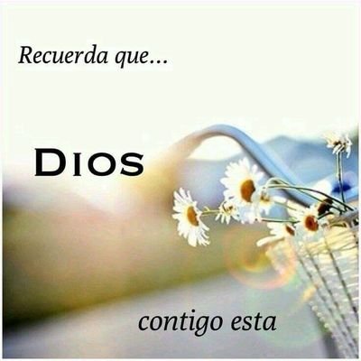 Nnina7149's profile picture. Libre