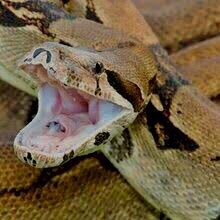 superpicks07's profile picture. 