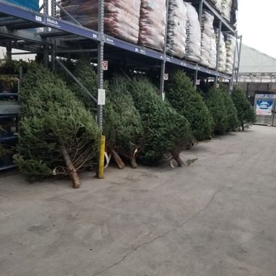 yussef18's profile picture. 