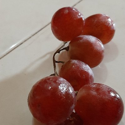 mscrqiqi's profile picture. Pemburu dolar