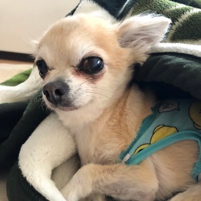 guilty0817's profile picture. 