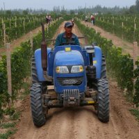 ningxiawines (@ningxiawines) 's Twitter Profile Photo