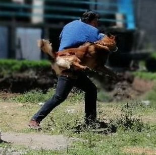 alxsteeler's profile picture. ,