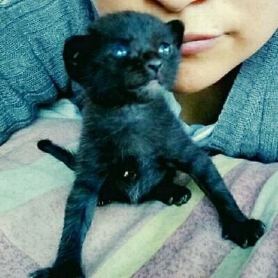 Maritza Pさんのプロフィール画像