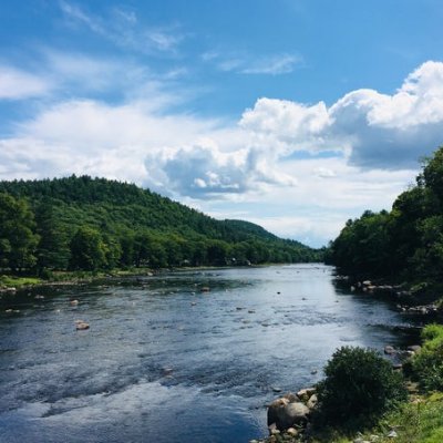 Jason_cr4ypto's profile picture. AI powered Betting.