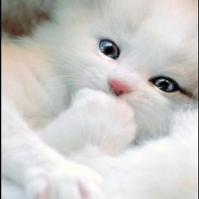 momo🌸💕さんのプロフィール画像