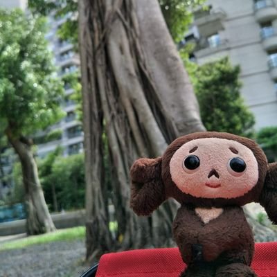 サーシャ(中文と英語をがんばる)さんのプロフィール画像