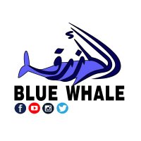 #Blue_Whale⚽#الحوت_الازرق💙⚽️ (@blue_7oot) 's Twitter Profile