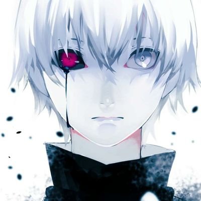 HassanBodon's profile picture. 