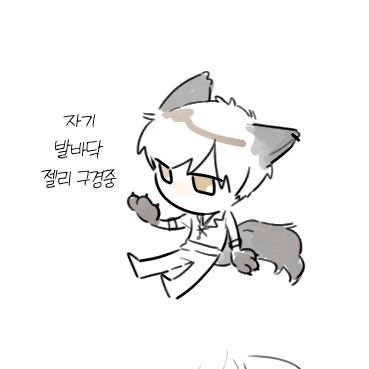 휘월🐿さんのプロフィール画像