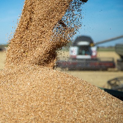 KuzbassMcx's profile picture. Официальный аккаунт Министерства сельского хозяйства и перерабатывающей промышленности Кузбасса