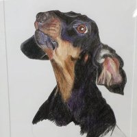 Kate Hampton (@ahdidyo) 's Twitter Profile