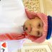 نهار المتلقم (@naharajmi) Twitter profile photo نهار المتلقم (@naharajmi) Twitter profile photo