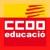CCOO Educació (@ccooeducacio) Twitter profile photo CCOO Educació (@ccooeducacio) Twitter profile photo