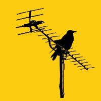 BirdPen (@birdpen) 's Twitter Profile