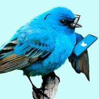 Twitle Türkiye (@duyanolur) Twitter profile photo