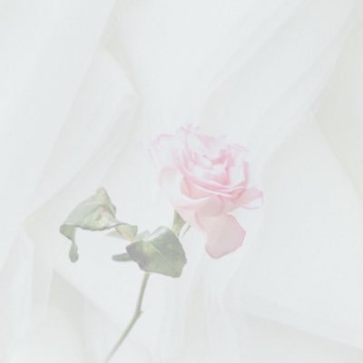 re_start_study's profile picture. sjk(04)