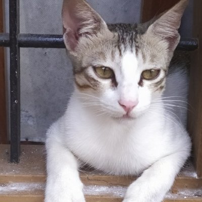 Unnikuttan75's profile picture. 