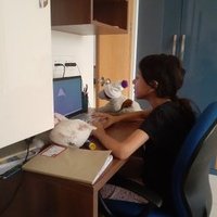 AnitaNath (@anitasujith) 's Twitter Profile