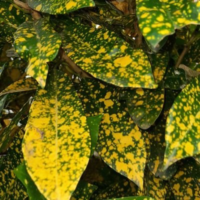 rithu_tat's profile picture. Dub mash, watching cricket, to chat with my besties,using instagram, tweeting, watching fun