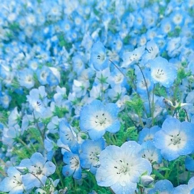 ゆうりさんのプロフィール画像
