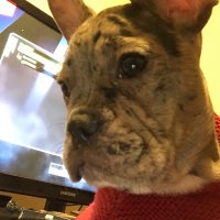 Matt (@fixitnow__) 's Twitter Profile