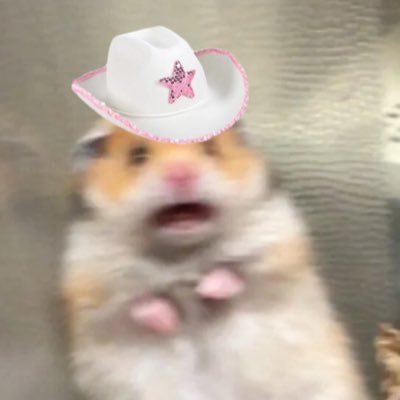 maggierym's profile picture. stl | fin | cin