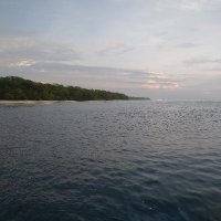 Asep gurita (@aseprudinagasta) 's Twitter Profile