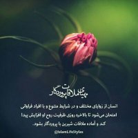 سرباز ولایت (@majid1363313) 's Twitter Profile