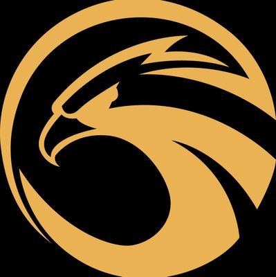 Falcon Official account.