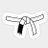 White Belt MMA