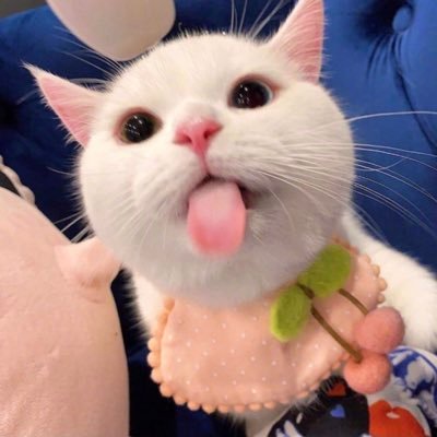 harianharis's profile picture. Never stop learning, because life never stops teaching