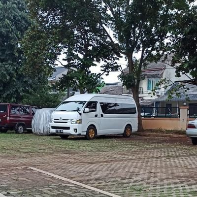 BrascoRumi's profile picture. race its not all about win