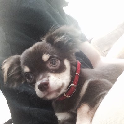 Dresden_k's profile picture. -ドレスデン熊本-No1バック率‼︎【60/15,000+α 】✉️問い合わせ→ https://t.co/Gj74p9LCiv