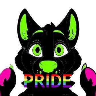 Furry, YouTuber, loves gaming, non-judgmental, I'm a Bottom, that's all i'm gonna say atm