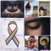 Convivencia e Igualdad IES Gerald Brenan (@cinta08182533) Twitter profile photo Convivencia e Igualdad IES Gerald Brenan (@cinta08182533) Twitter profile photo