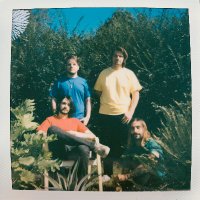 Mango Furs (@fursmango) 's Twitter Profile