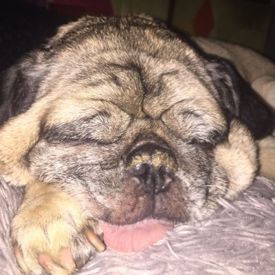 Pursuit36127367's profile picture. 