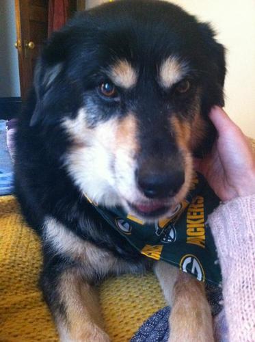 rodgerfannypack's profile picture. it’s cold here