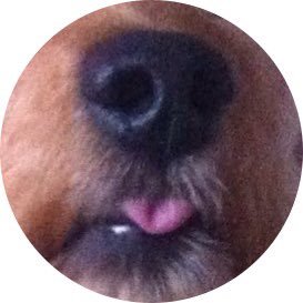 ナナさんのプロフィール画像
