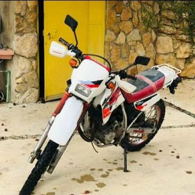 Mhmdali00000's profile picture. 