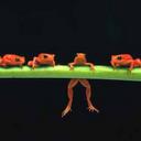 samantha roe - @sam1smiles - Twitter