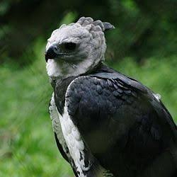 di_borbon's profile picture. 