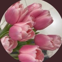 للجـنهْ (@_120m) Twitter profile photo