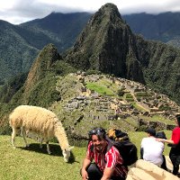 Javier Guzman (@javuchex) 's Twitter Profile